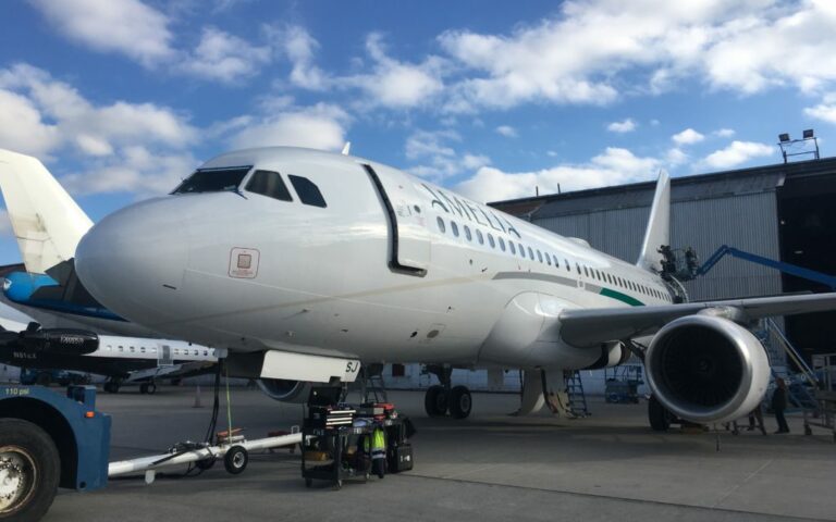 Fleet Amelia By Regourd Aviation