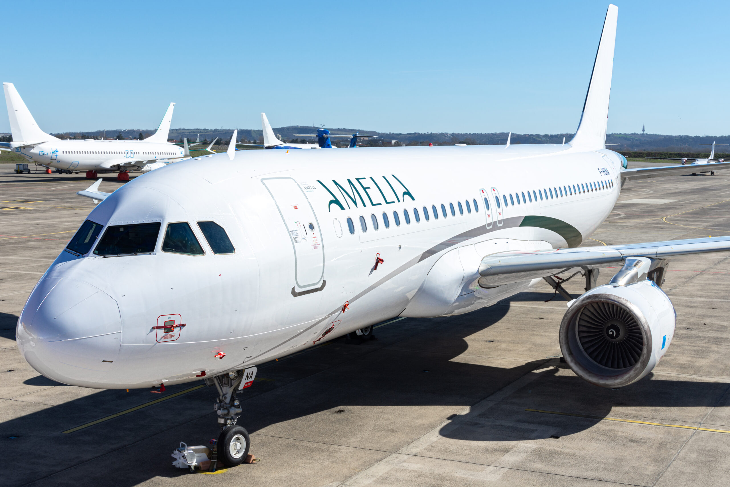 Airbus A320 Amelia By Regourd Aviation